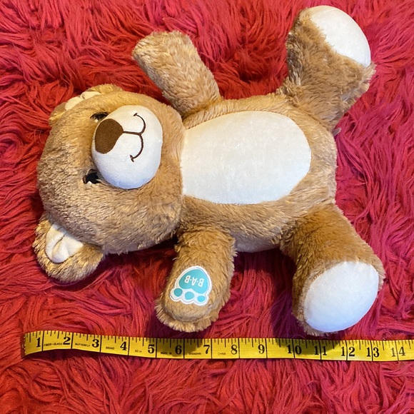 Build A Bear Teddy - Picture 6 of 6